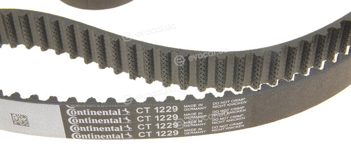 Continental CT1229K1