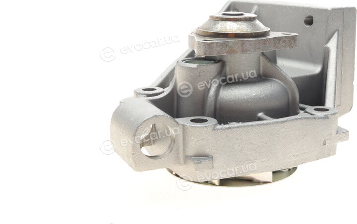 Hepu P1042