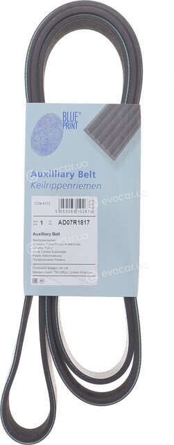 Blue Print AD07R1817
