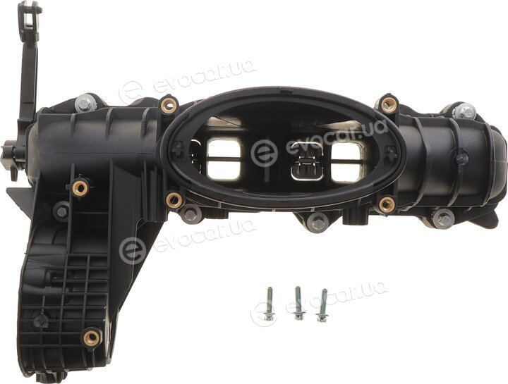 AIC 55925