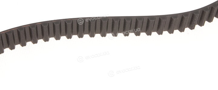 Gates K015521XS
