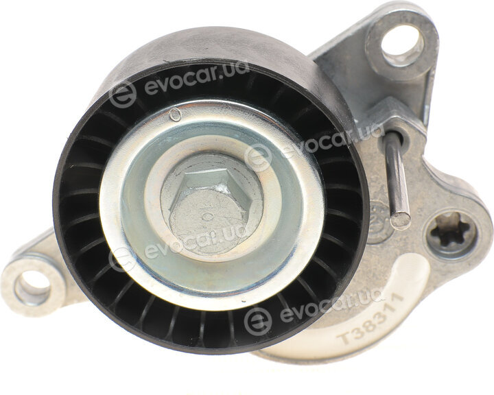 Dayco APV3179