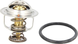 Mahle TX 83 76D