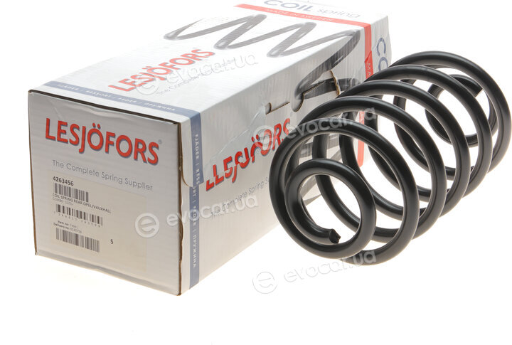 Lesjofors 4263456