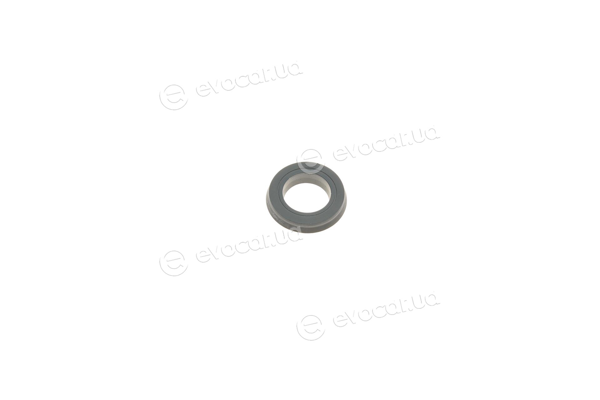 Frenkit 322058