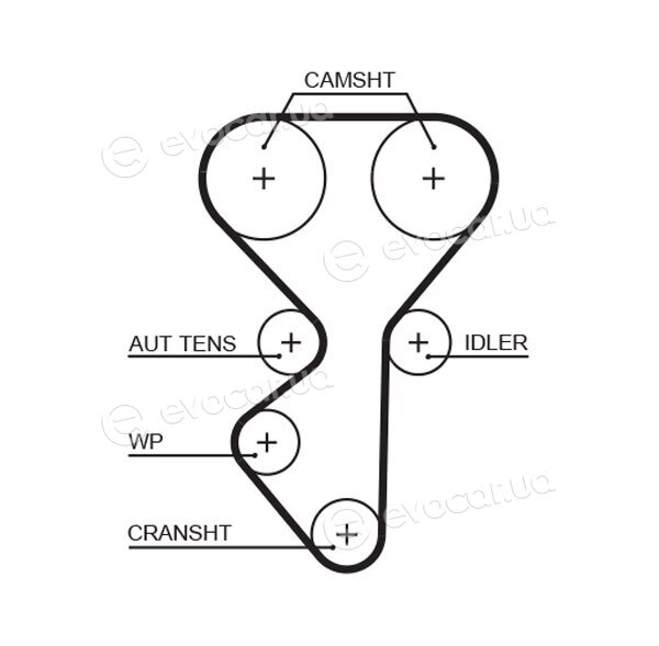 Gates K015631XS