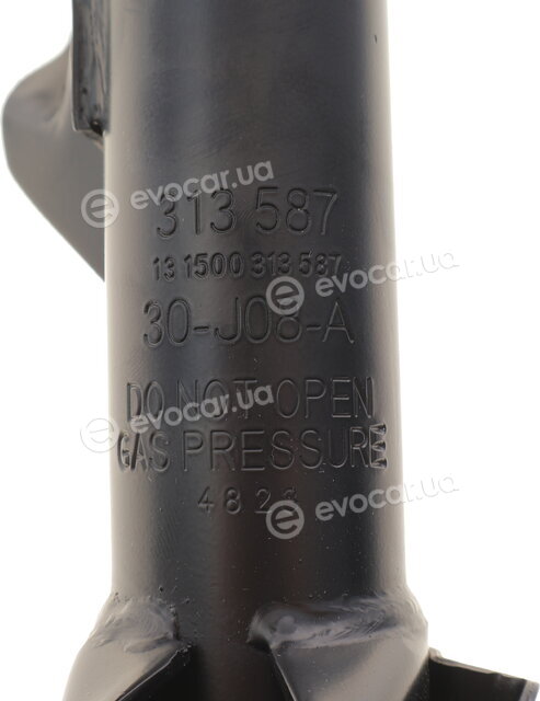 Sachs 313 587