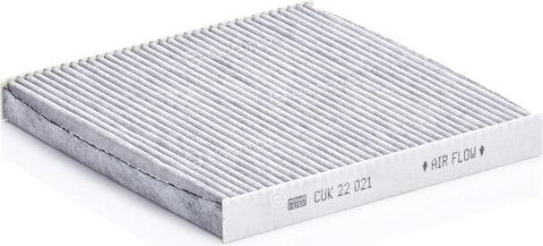 Mann CUK 22 021