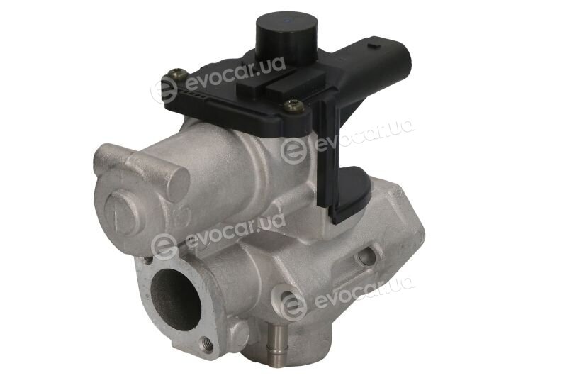 Delphi EG10509