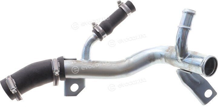 DP CS 81578 NİF