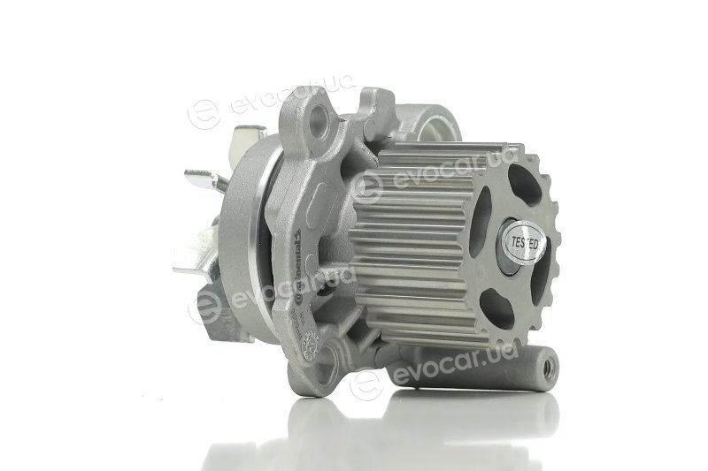 Continental WP6006