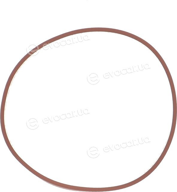 Elring 595.300