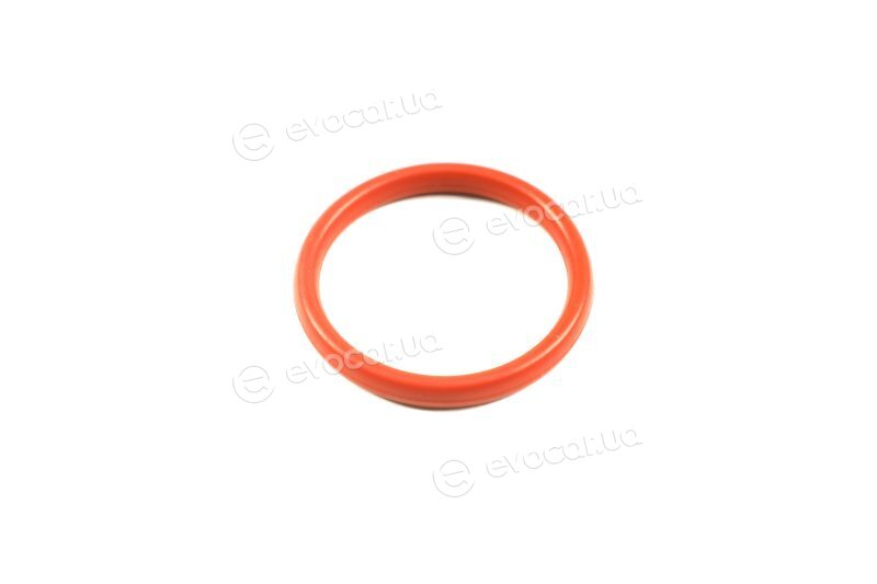 Elring 258.620