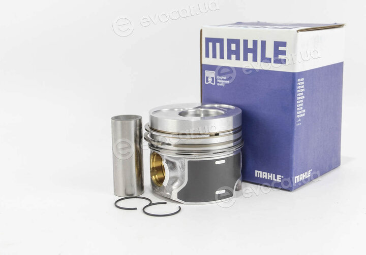 Mahle 030 87 02