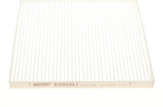 Hengst E2925LI