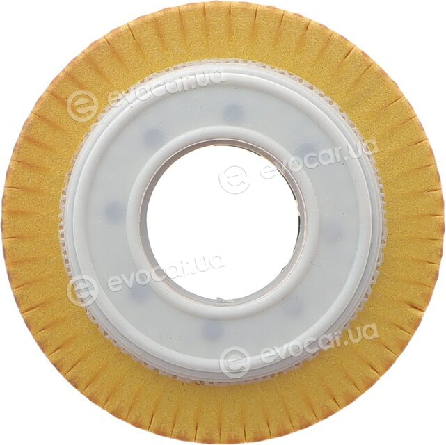 Solgy 101097