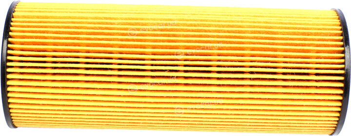 Solgy 101041