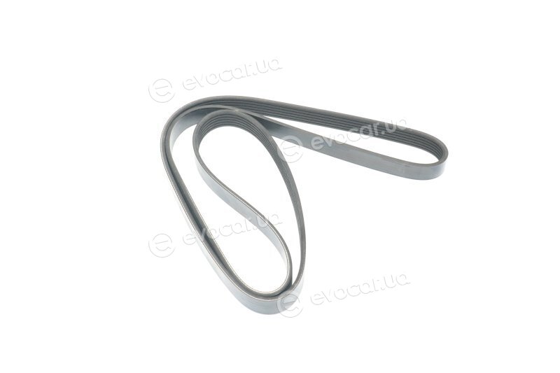 Dayco 6PK1620