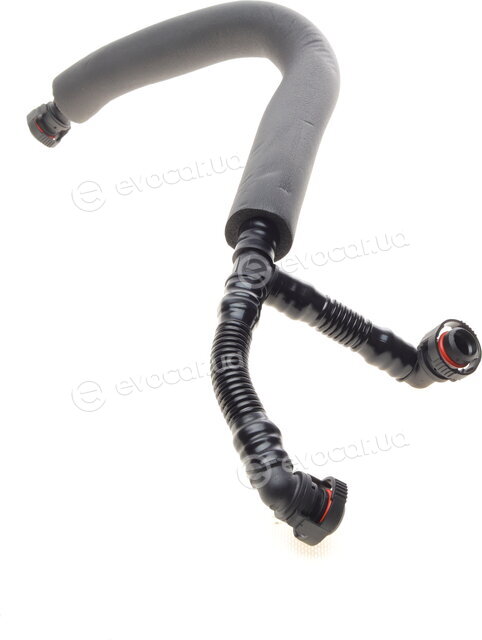 AIC 56063