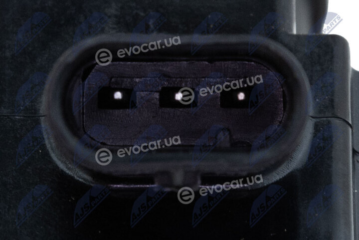 NTY ECZ-VV-006
