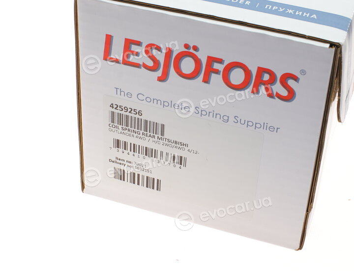 Lesjofors 4259256