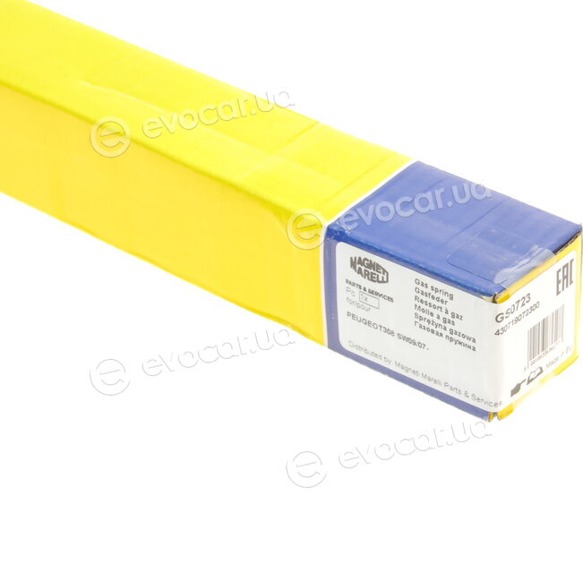 Magneti Marelli 430719072300