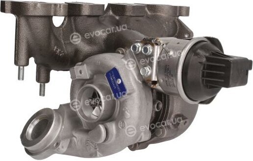 BorgWarner 53039880207/R