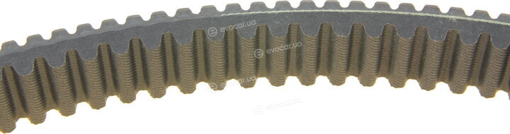 Dayco XTX2236