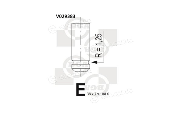 BGA V029383