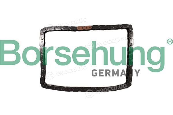 Borsehung B12784