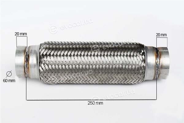 Asam 33755