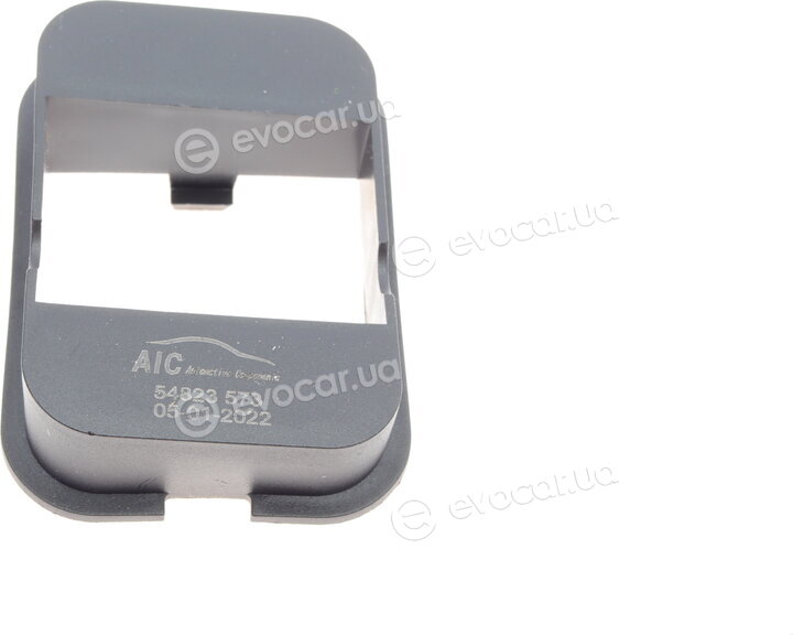 AIC 54823