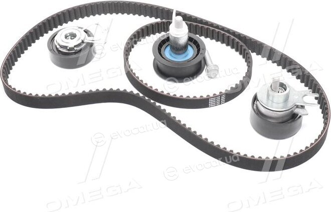 Gates K035565XS