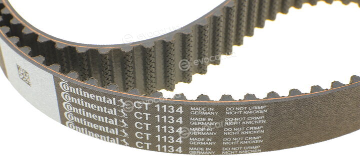 Continental CT1134WP1