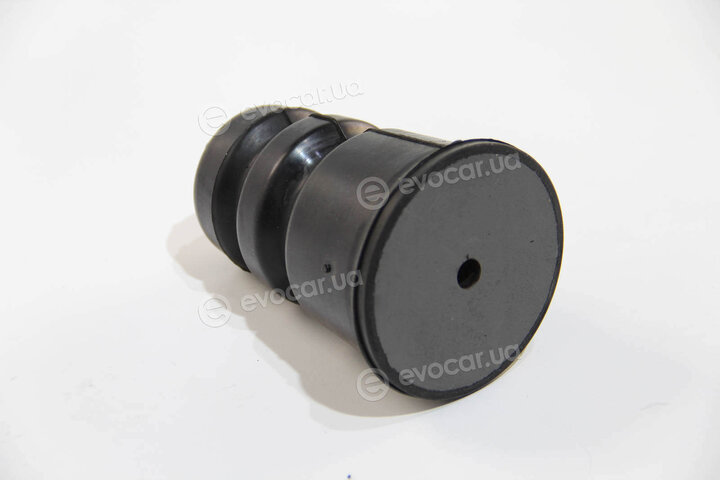 BC Guma 0267
