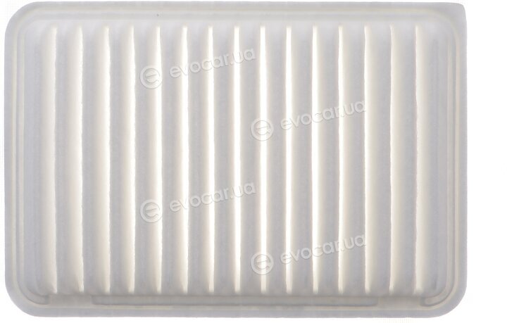 Solgy 103154