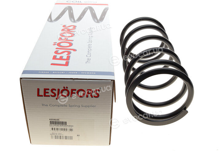 Lesjofors 4259225
