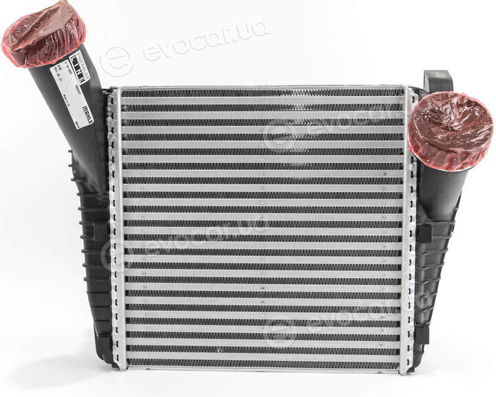 Mahle CI 141 000P