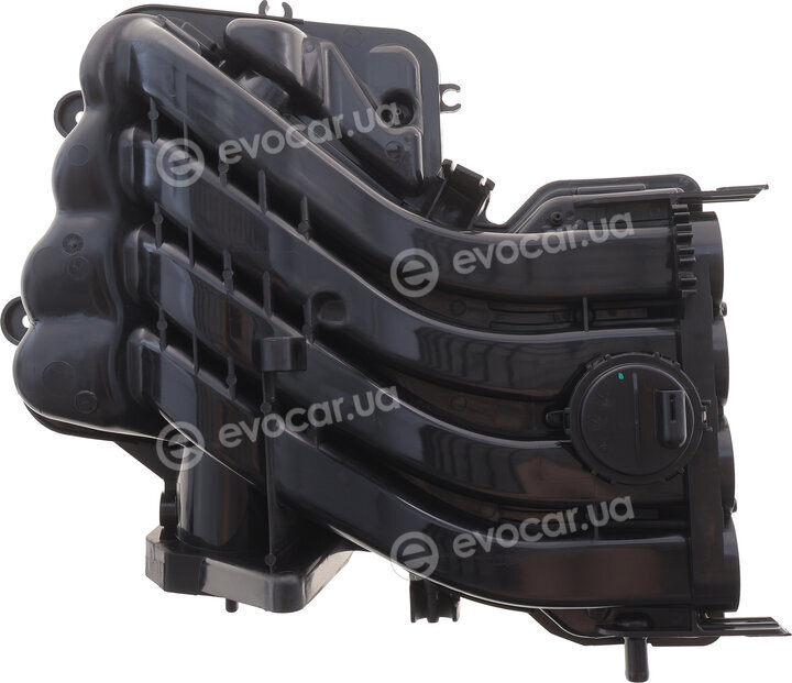 Solgy 114302