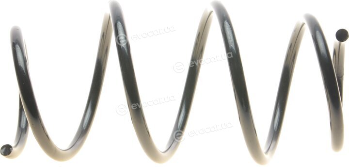 Borsehung B12564
