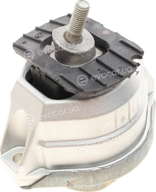 Hutchinson 586310