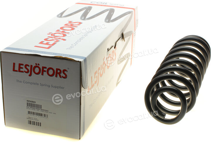 Lesjofors 4056869