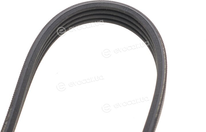 Continental 4PK844 ELAST