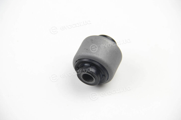 BC Guma 0308