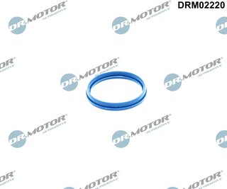 Dr. Motor DRM02220