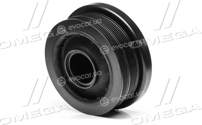 Dayco DPV1063