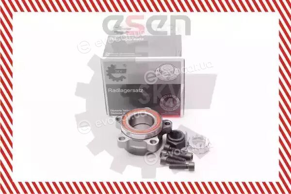 SKV 29SKV047