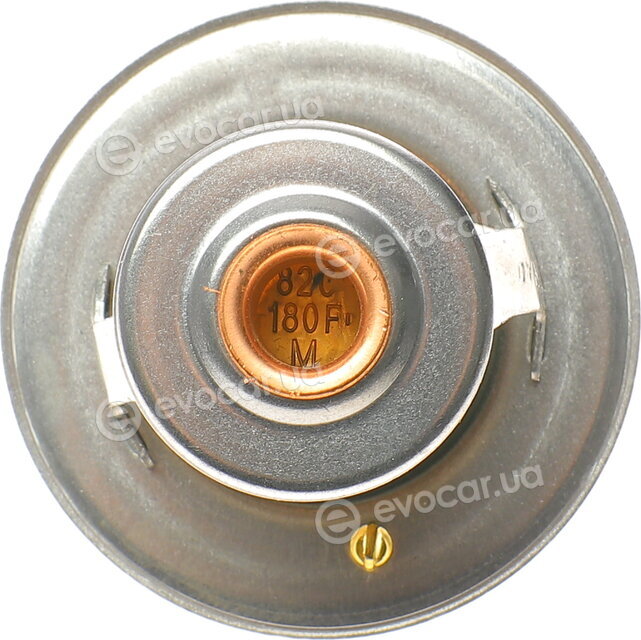 Motorad 555-82K