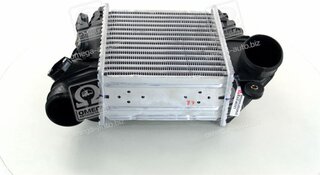 Van Wezel 03004185