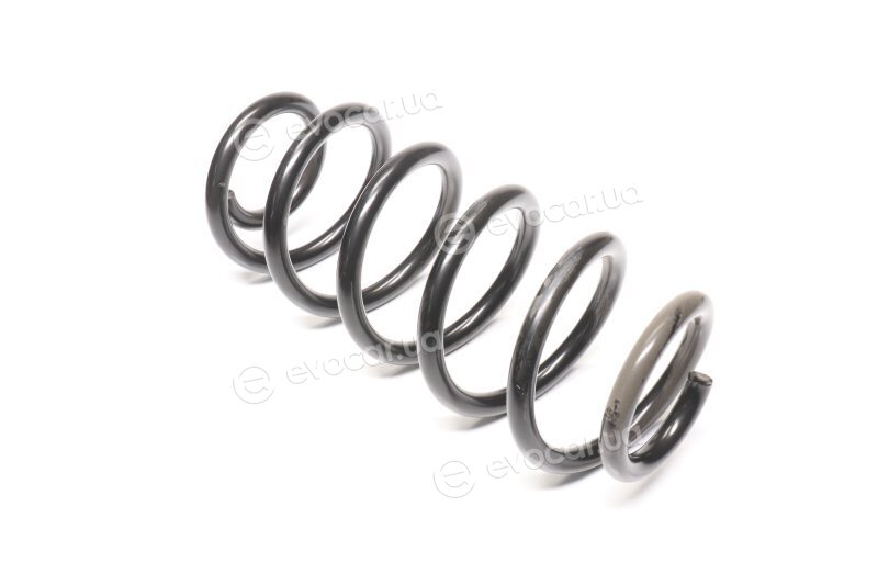 Lesjofors 4004256